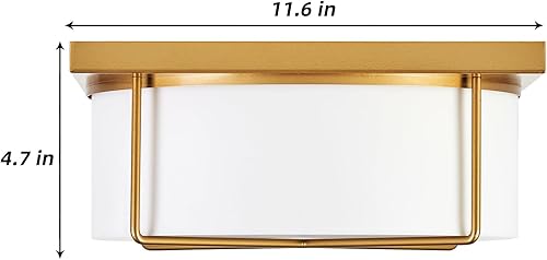 Miniatura 8 de Hopejoy C800118W-ORB - Lámpara de techo de montaje empotrado, 18 W, acabado de bronce aceitado, lámpara de techo acrílica blanca cálida de 3000 K