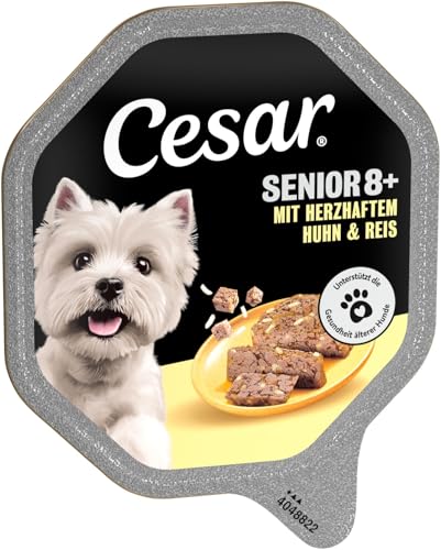 Cesar 14 x 150 g Senior 8+ Schale mit Huhn & Reis Stückchen in Gelee (14er-Packung)