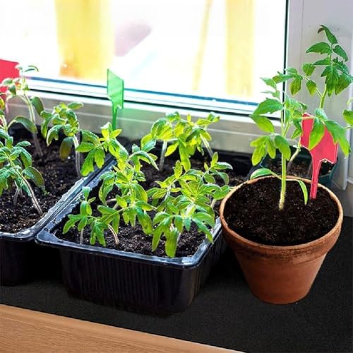 Smart Plant Care - Kit de riego capilar automático con etiquetas para macetas de interior e hidroponía