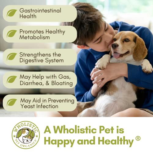 Wholistic Pet Organics Wholebiotics Supplement: Organic Dog Probiotic Powder - Cat Probiotic With Digestive Enzymes - Dog Probiotics For Diarrhea, Gas, Constipation, Upset Stomach, Allergies - 1 Oz #TOP2