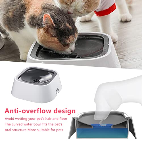 Ciotola dell'acqua per animali domestici Ciotola