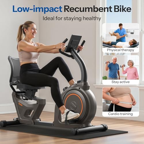 Niceday Recumbent Exercise Bike, Recumbent Bike for Home, Recumbent Stationary Bike 400LBS Weight Capacity, Magnetic Recumbent Bike with Smart APP, LCD Monitor, Heart Rate Handle - 1
