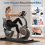 Niceday Recumbent Exercise Bike, Recumbent Bike for Home, Recumbent Stationary Bike 400LBS Weight Capacity, Magnetic Recumbent Bike with Smart APP, LCD Monitor, Heart Rate Handle - Image 2