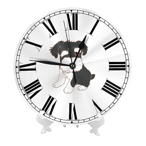 ~j`AViEU[ |v  k Ǌ|v É  Q  蕨 CeA 吔 a25cm dg a v[g