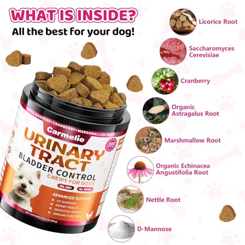Image of Cranberry for Dogs, Dog Urinary Tract & Bladder Support + D-Mannose, 200ct