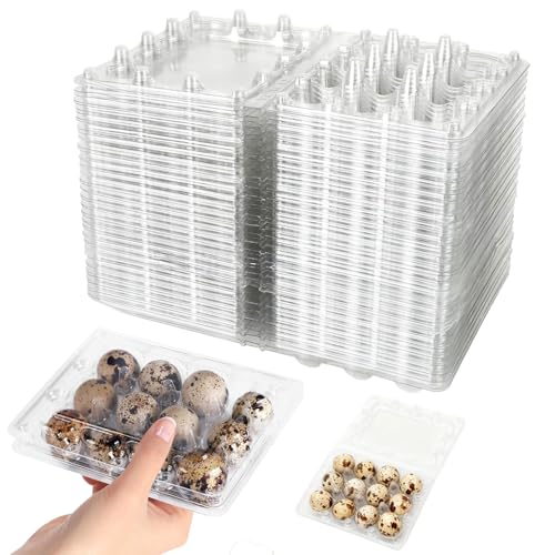 Eyksta 50 Cajas para Huevos de Codorniz, 12 Hueveras de PET Transparente, Plástico Reutilizable de Grado Alimenticio
