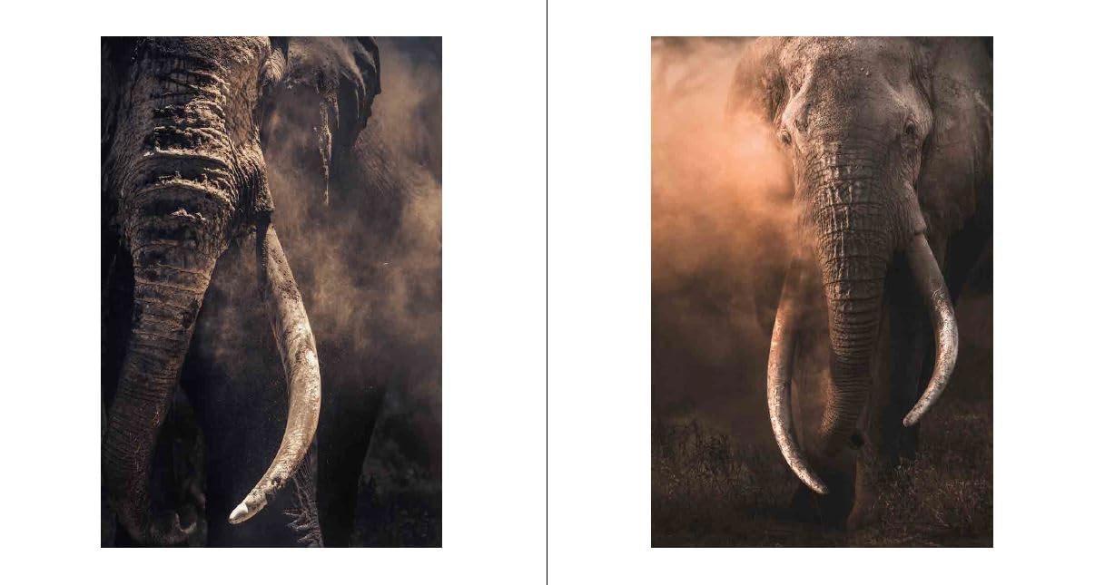Walk the Earth: Federico Veronesi