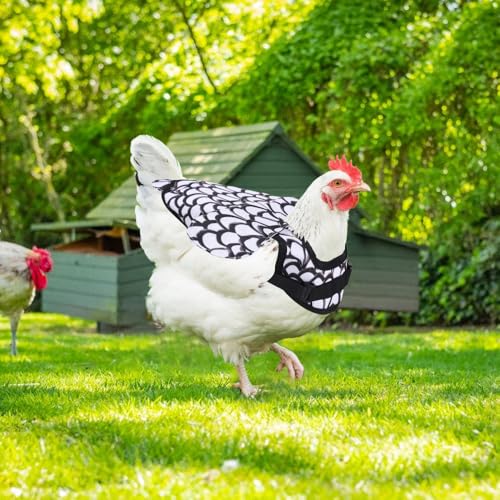 Hühnersattel, Anti-Picking Hühnerweste mit Verstellbarem Riemen, Bequemer Hühnersattelschürze Rückenschutz für Enten und Gänse