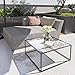 Glass Coffee Table Modern Center Table,Minimalist Coffee Table Sofa Side Tea Table for Living Room,Tempered Glass-top with Sturdy Metal Frame, Easy Assembly,26.4 x 26.4 x 15.7 Inches, Black