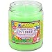 Pet Odor Exterminator Candle Hippie Love