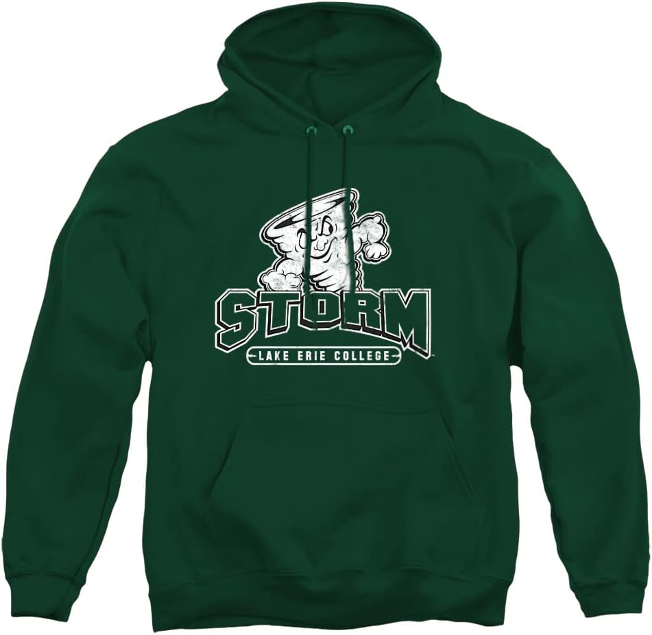 LOGOVISION Official Collegiate Distressed Primary Logo Adult Pullover Hoodie Collection