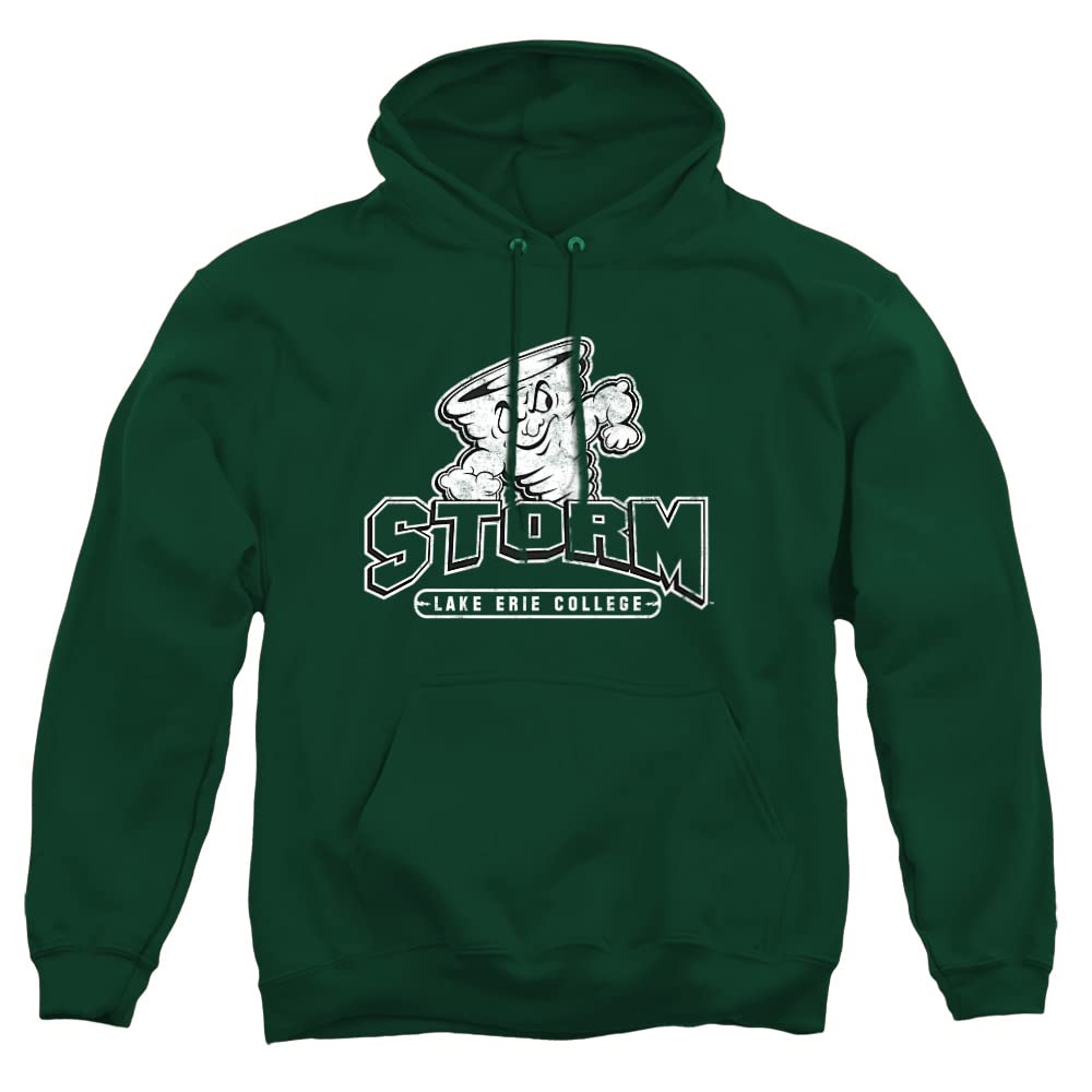 LOGOVISION Official Collegiate Distressed Primary Logo Adult Pullover Hoodie Collection — view 244