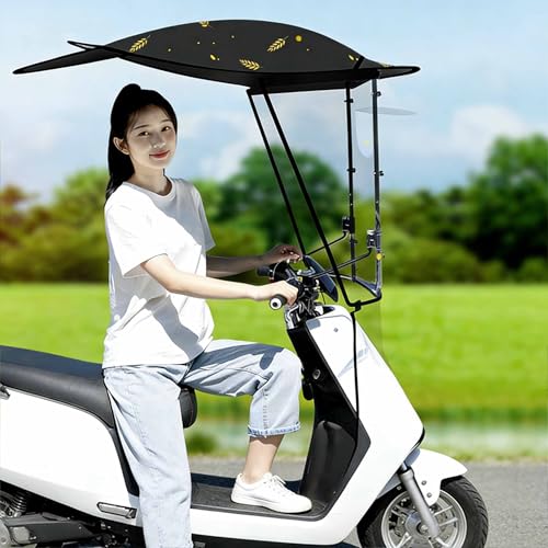 Abri de voiture pour vélo électrique pour rouler au sec l'hiver