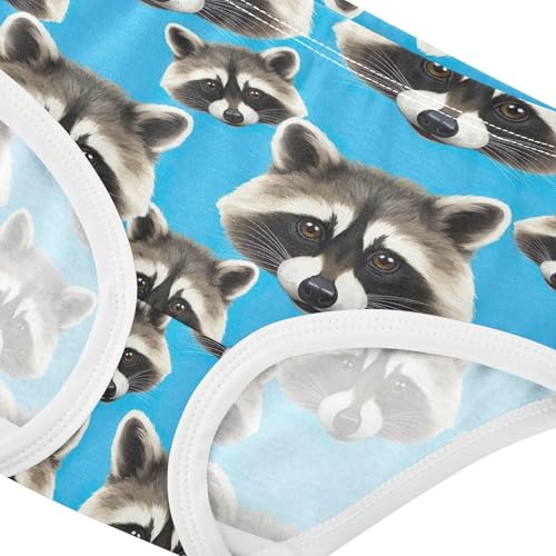 Joisal Cute Raccoon Head Blue Girls Underwear Toddler 2t Cotton Cute Panties Girl Florals Undies Kids Briefs4