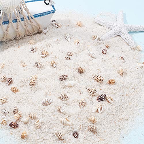 Ph Pandahall 1400-1500Pcs Sea Shell Beads 7-12Mm Tiny Crushed Shells Miniature Shells No Hole Seashells Ocean Spiral Seashells For Resin Candle Home Party Wedding Fish Tank Vase Filler #TOP2