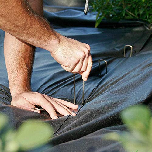 OK5STAR 100 Pack 12" Garden Stakes Pins,Heavy Duty Garden Landscape Staples Stakes Pins Galvanized Landscape Fabric Staples Sod Ground Staple for Anchoring Weed Barrier Fabric - Image 4