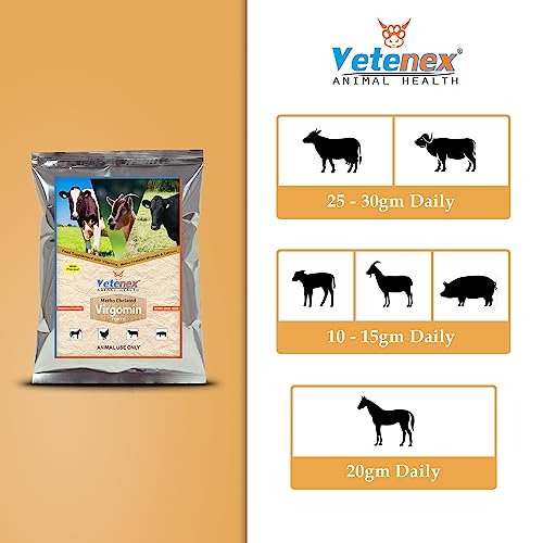 Virgomin Forte - Metho Chelated Mineral Mixture Powder Supplement for Cattle, Cow, Buffalo, Poultry, Goat, Pig & Horse - 1 kg