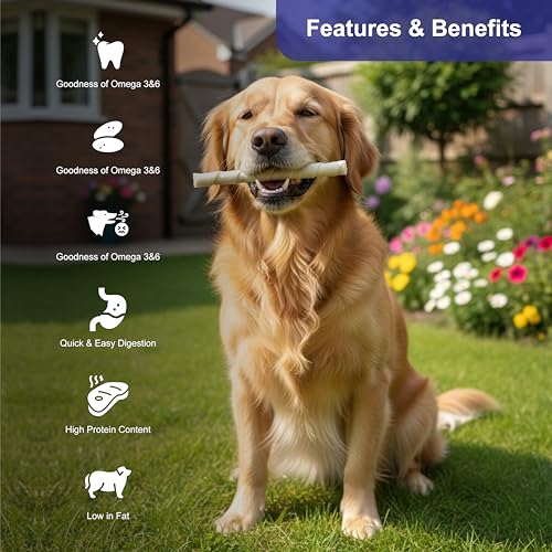 Image of Non-Rawhide Chews Sandwich Roll White for Dogs (225g, Pack of 2), Safe & Digestible Treats