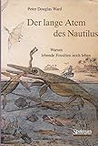  Der lange Atem des Nautilus: Warum lebende Fossilien noch leben