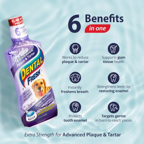 Dental Fresh Advanced Plaque and Tartar 32oz - Image 3