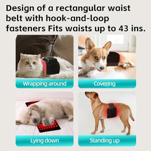 Image of MANON ROSA Red Infrared Light Therapy Belt Pets: Wearable Device for Tissue Repair Relieving Sciatica Joint Back Pain in Small Medium Large Dogs Cats (Small,60 Lamp Beads)
