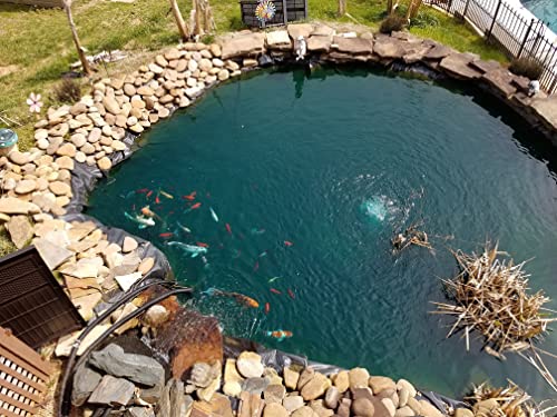 Polyex Koi Fish Pond Liner 19' 6'' X 16' 4'' (6Mx5M) Reversible, Pond Skins For Fish Ponds, Water Features, Fountains, Waterfall Lining, Water Gardens, Great Value & Durable #TOP4