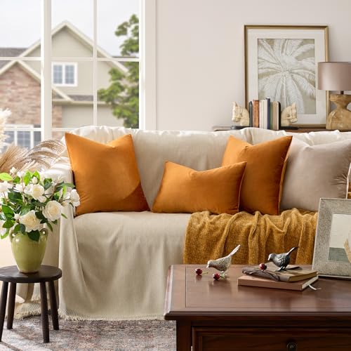 Image of GIGIZAZA Cinnamon Burnt Orange Velvet Decorative Throw Pillow Covers for Sofa Bed 2 Pack Soft Cushion Cover (Cinnamon, 12 x 20- Set of 2)