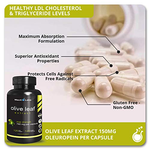 Olive Leaf Extract - Super Strength Oleuropein Nature's Way To Support Immune System & May Help Cardiovascular Health - Premium Ole Antioxidant Supplement Pills - 750Mg -120 Capsules #TOP2