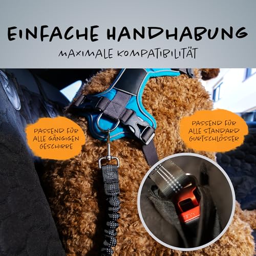 Fellbuddy's Auto Sicherheitsgurt für Hunde und Katzen – Verstellbare Gurtverlängerung Auto, Kompatibel mit Hundegeschirr & Hundeleine – Sicheres Hundezubehör für Hundebox im Auto