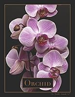 Orchid: Journal 1980984336 Book Cover