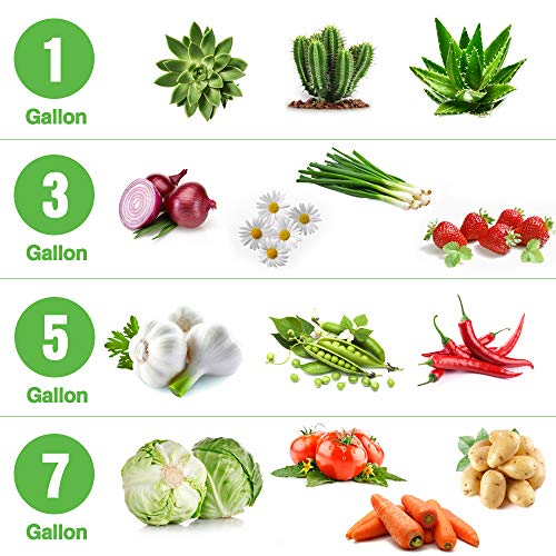 Delxo Garden Grow Bags 5 Gallon 10Pack Reusable Plant Growing Bags Fabric Pots For Planting Vegetable #TOP5