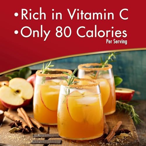 Alpine Spiced Apple Cider Original Instant Drink Mix, Apple Flavor, 10 Pouches, 10 CT (Pack of 12) - 4