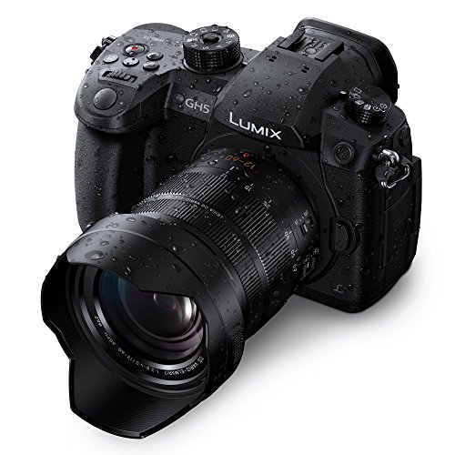 Panasonic Lumix C-GH5-12-60/2.8-4.0 Leica DG Vario Elmarit