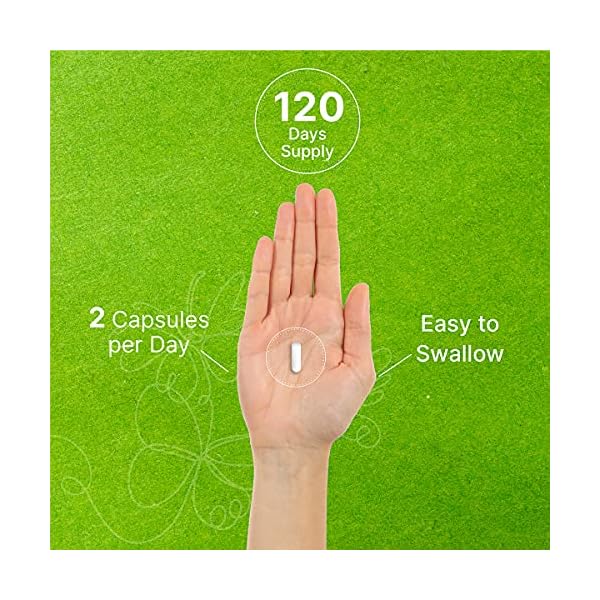 Hyaluronic-Acid-Supplements-200mg-240-Capsules-4-Months-Supply-Improve-Skin-Face-Hair-Nail-Condition-and-Support-Healthy-Joints-Bones-Connective-Tissue Hyaluronic Acid Supplements 1,500mg – 240 Capsules, with MSM & Vitamin C – Pure 95% | Non-GMO + Plant Based HA – Supports Healthy Joints, Bones, Connective Tissue, & Skin Hydration