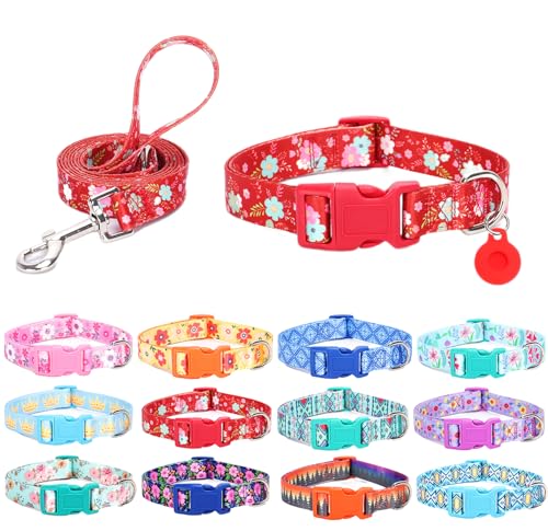 SLZZ Collier pour Chien avec Laisse Étui Porte Airtag - Colliers pour Chiens Mâle Femelle Garçon Fille Chiot X-Petit Petit Moyen Grand Chiens Marche Course Formation - Marguerite Rouge - XS