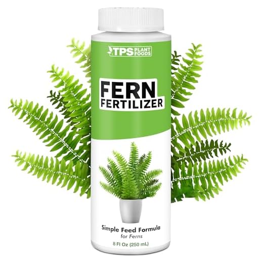 17 Foxtail Fern Ideas to Transform Your Home and Garden 5 TPS NUTRIENTS Fern Fertilizer for All Ferns and Mosses, Liquid Plant Food 8 oz (250mL)