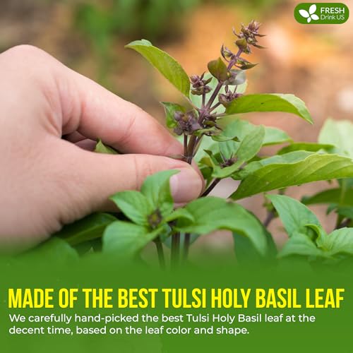 Image of FreshDrinkUS, Premium 16oz Tulsi Leaves Powder, 100% Natural & Pure, Herbal Tea, No Sugar, No Caffeine, No Gluten, Vegan.
