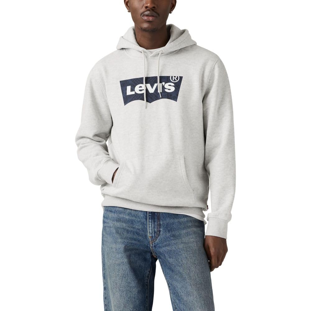Levi's Men's Standard Graphic Hoodie