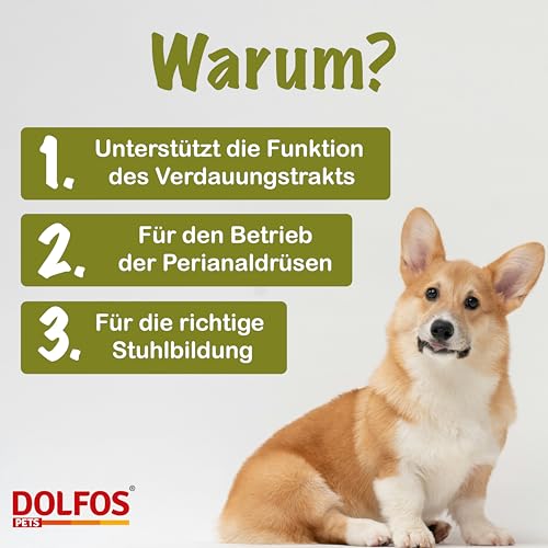 Dolvit Gland Analdrüsen Hund, 60 Tabletten für Hunde, Spezial-Analdrüsenkur mit Kräuterextrakten, Flohsamenschalen & Smektit, Unterstützung Verdauung, korrekte Kotbildung, mittlere & große Hunde