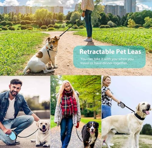Image of Smart Pet Leash Automatic with Padded Feature and Feather Decoration for Dogs Dog Traction Rope Chain Automatic Retractable Dog Walking Rope Pet Leashes Retractable Pet Leash (3M-15Kg)