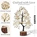 FASHIONZAADI Crystal Tree Gifts for Women, Chakra Healing Citrine Crystals Handmade Money Tree of Life for Home and Office Desk Decoration, Reiki Healing, Good Luck, Positive Energy, Birthday Gifts
