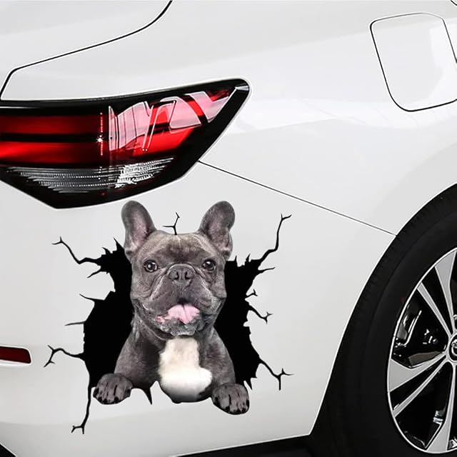 Foto 5 de 8 de Pegatinas 3D para Perros, calcomanías de Pared para Perros, calcomanías para Ventana de Coche