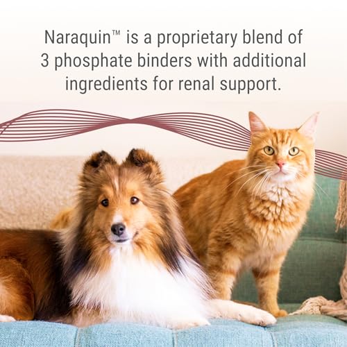Nutramax Laboratories NARAQUIN™ Dietary Phosphate Binder + Renal Support Supplement for Cats & Dogs,60 Count (Pack of 2) - image 2