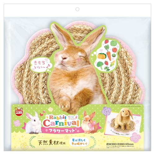 ~j}h rbgJ[jo t[}bg p P[W~ 킢VRfރ}bg  `` bgp