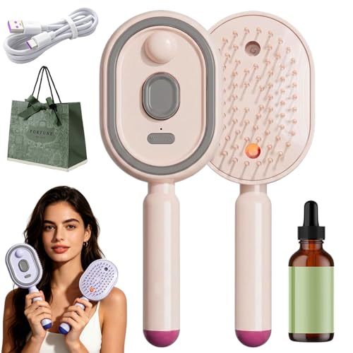 Electric Spray Air Cushion Massage Comb Electric Hair Brush Women with Water Spray Rechargeable Steaming Massage Hair Care Brush for Wet & Dry Hair (1PC-B)