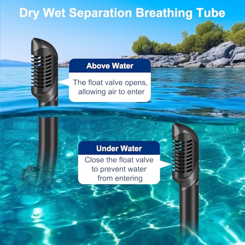 Snorkel Set Adults, Anti-Fog Panoramic Scuba Snorkelling Packages with Dry-Top Snorkel & Swimming Goggles for Diving, Swimming & Snorkeling