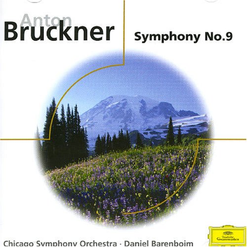 Bruckner: Symphony No.9/Psalm 150 [Audio CD] WELTING