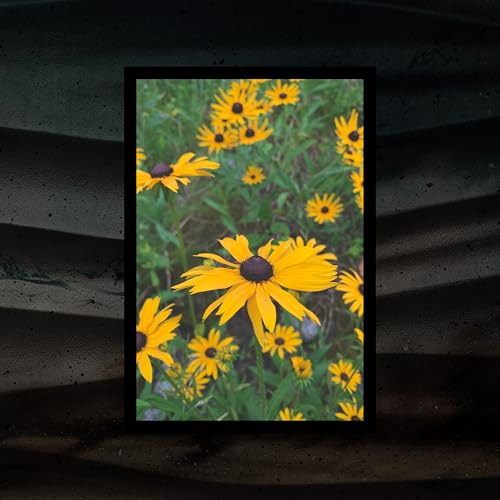 Domy Castellano & Go Outside