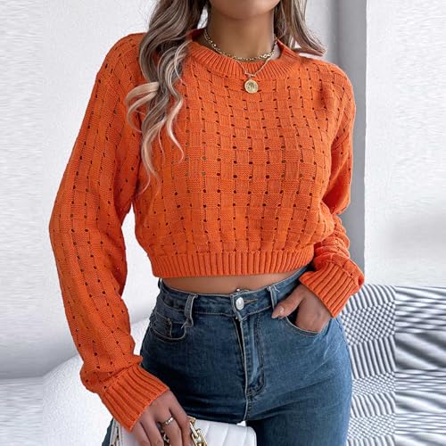 Akklian Y2k Teen Girl Crop Tops Hollow Out Sweaters for Women Crewneck Long Sleeve Pullover Tops Lightweight Tunic Sweater3