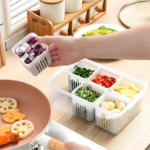 Image of Plastic Fridge Storage Box - 6 Grid Container | Freezer & Refrigerator Organizer | Kitchen Storage Container for Vegetables, Masala, Snacks & More (Pack of 1)